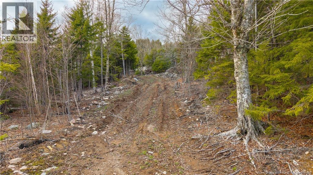 Lot 6-1191 Route 785 Property Photo 22