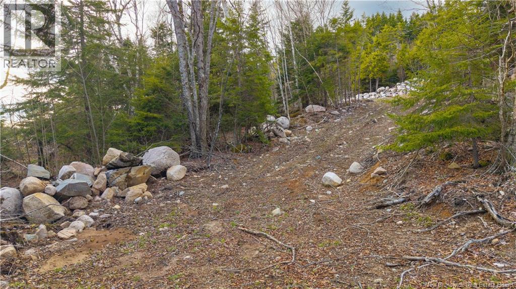 Lot 6-1191 Route 785 Property Photo 23