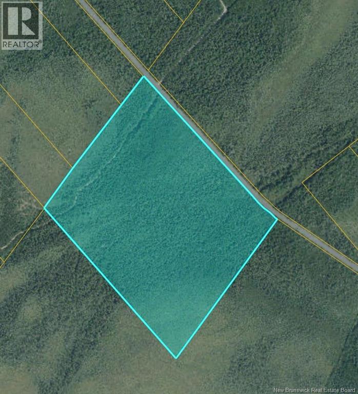 53.1 Acres Route 117
