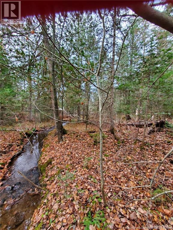Lot 2 Thompson Road Property Photo 3