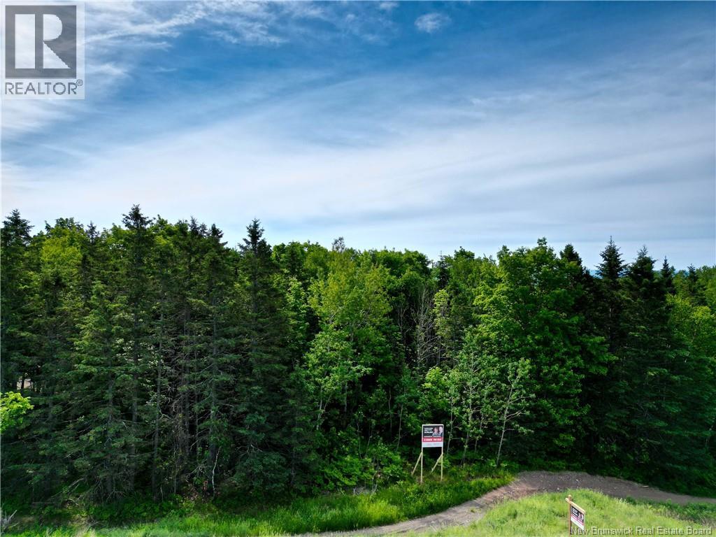47950 Chemin Homestead Road Property Photo 3