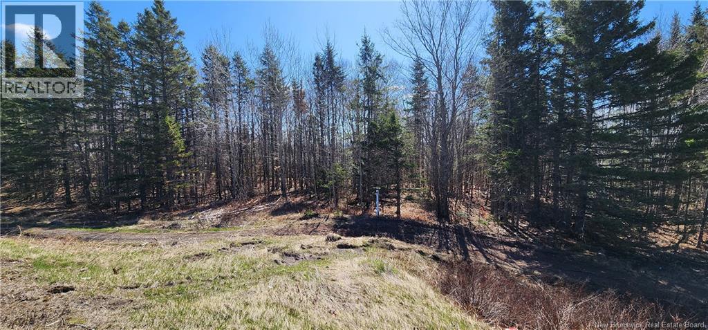 47950 Chemin Homestead Road Property Photo 9