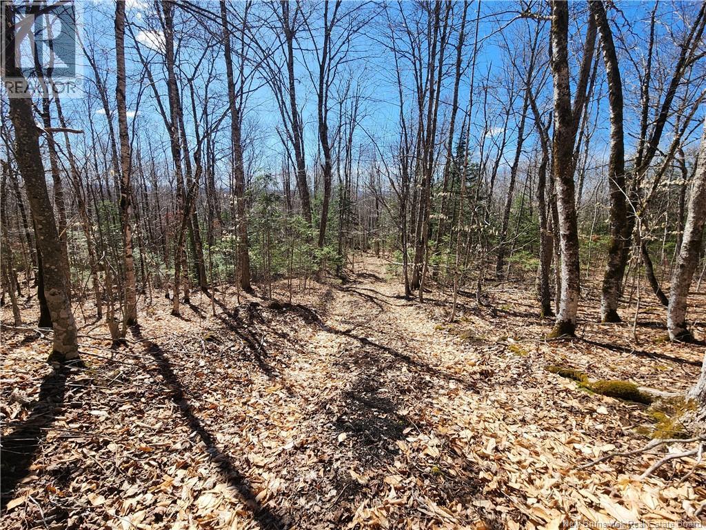 47950 Chemin Homestead Road Property Photo 10