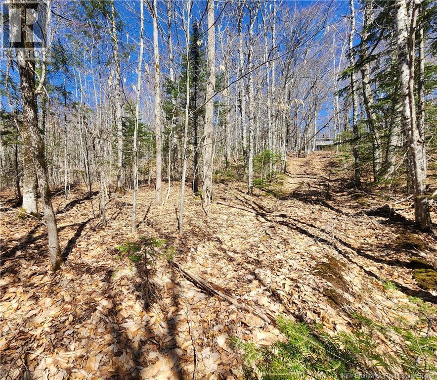 47950 Chemin Homestead Road Property Photo 11