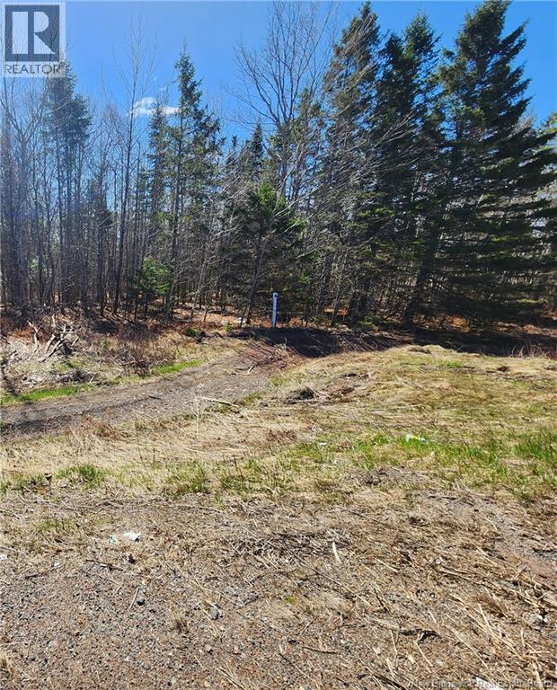 47950 Chemin Homestead Road Property Photo 12