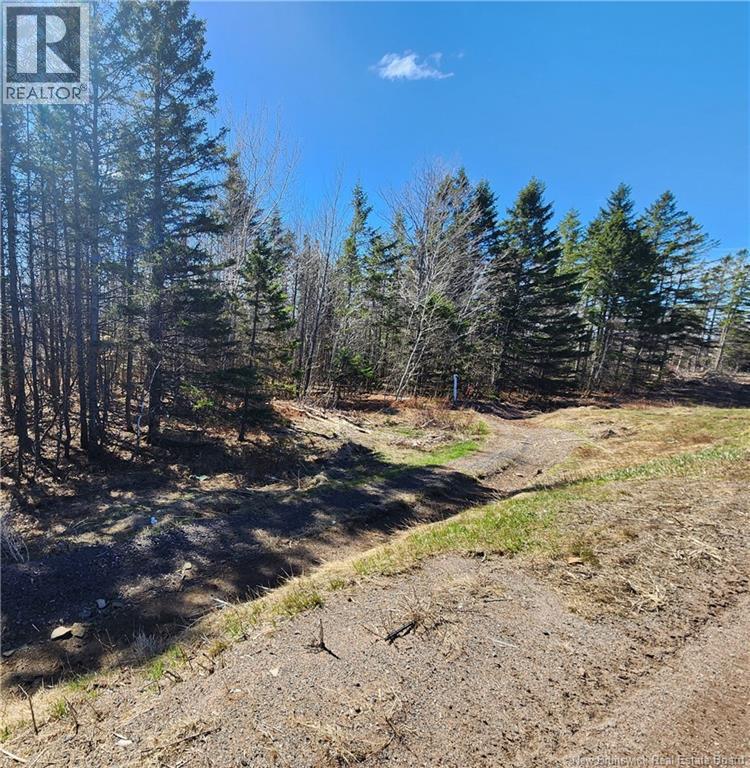 47950 Chemin Homestead Road Property Photo 13