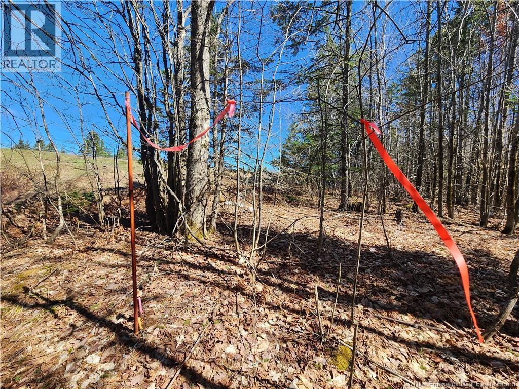 47950 Chemin Homestead Road Property Photo 14