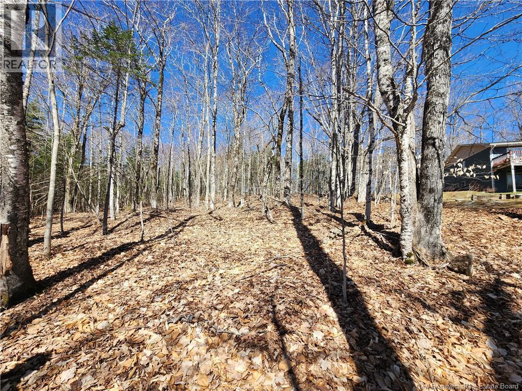 47950 Chemin Homestead Road Property Photo 15