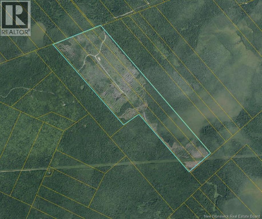 South Napan - 4 Interior Woodlot Parcels Property Photo 1