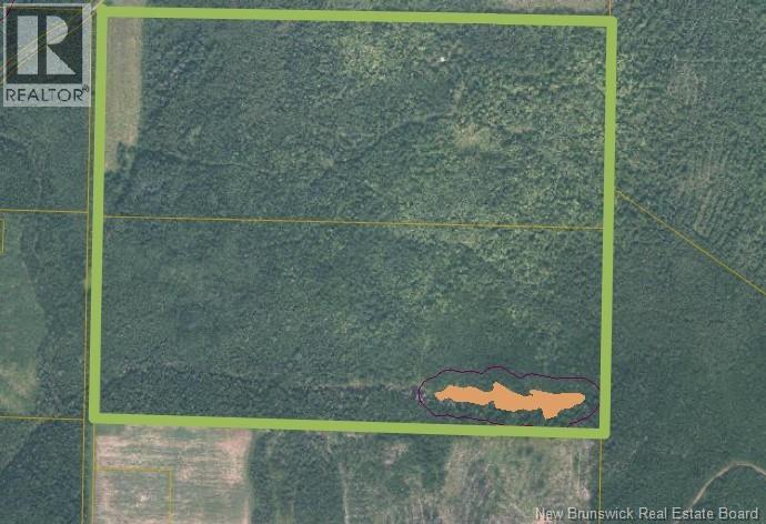 200 Acres Walker Road Property Photo 1