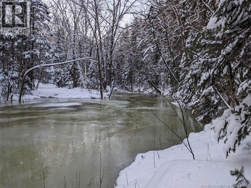 597 Birch Ridge Road Property Photo 41