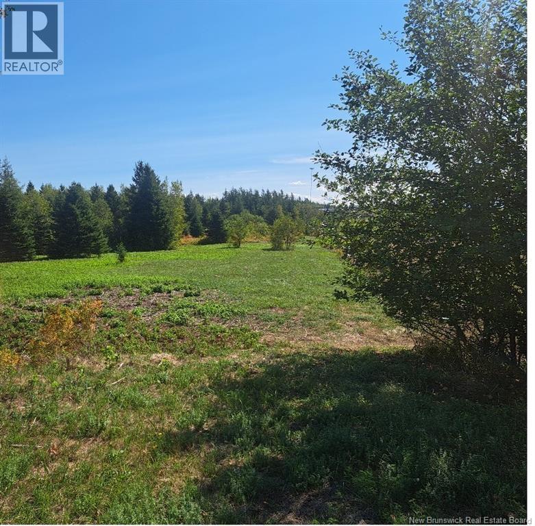 0 Homestead Road Property Photo 2