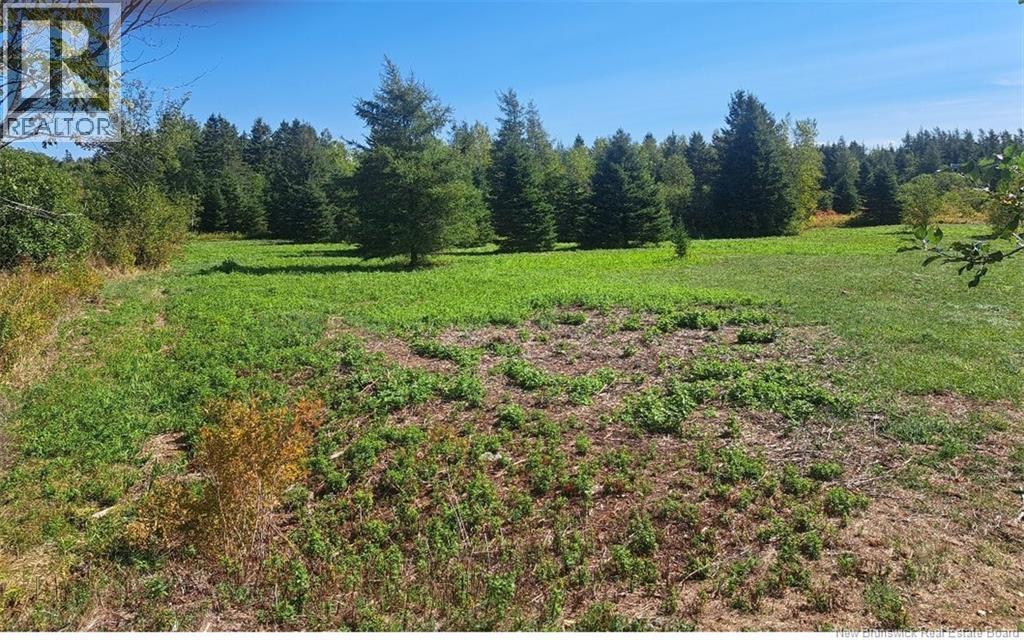 0 Homestead Road Property Photo 3