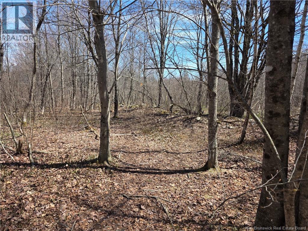 1175 Route 127 Property Photo 4