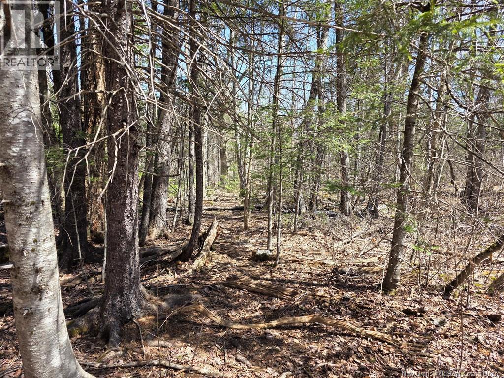 1175 Route 127 Property Photo 5