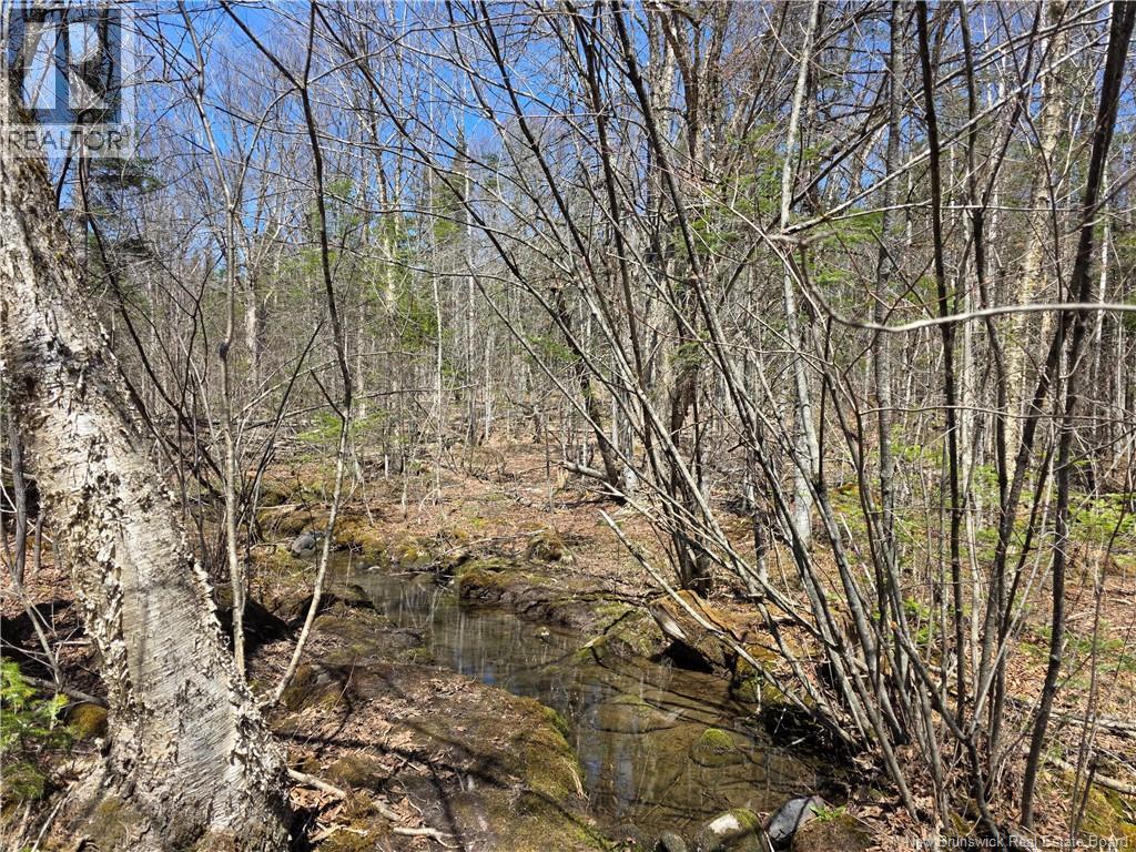 1175 Route 127 Property Photo 7