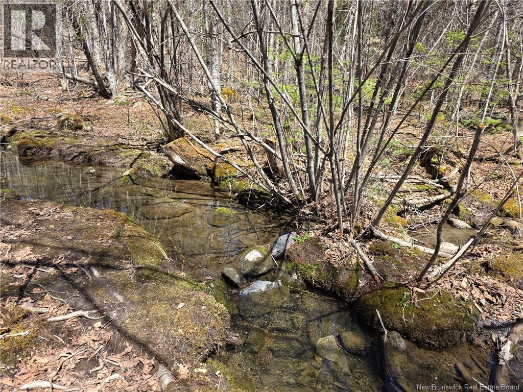1175 Route 127 Property Photo 8