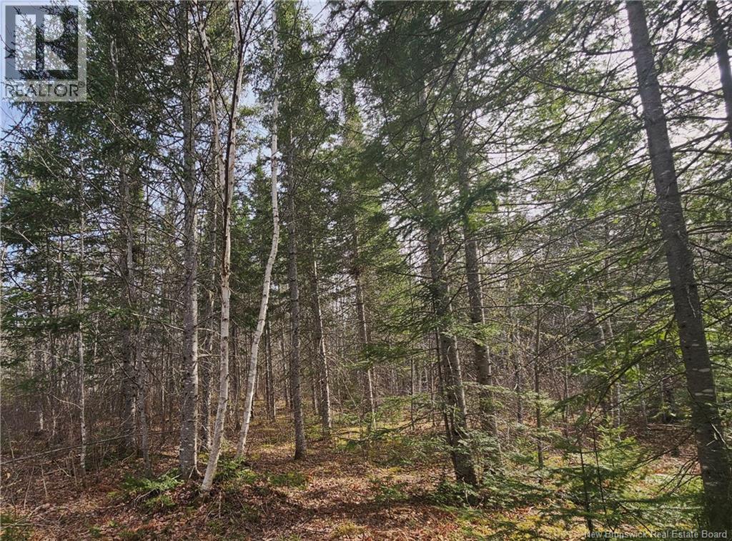 00 Route 118 Property Photo 1