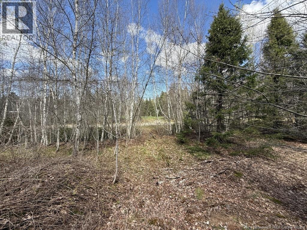 Lot 23-2 Country Shore Lane Property Photo 11
