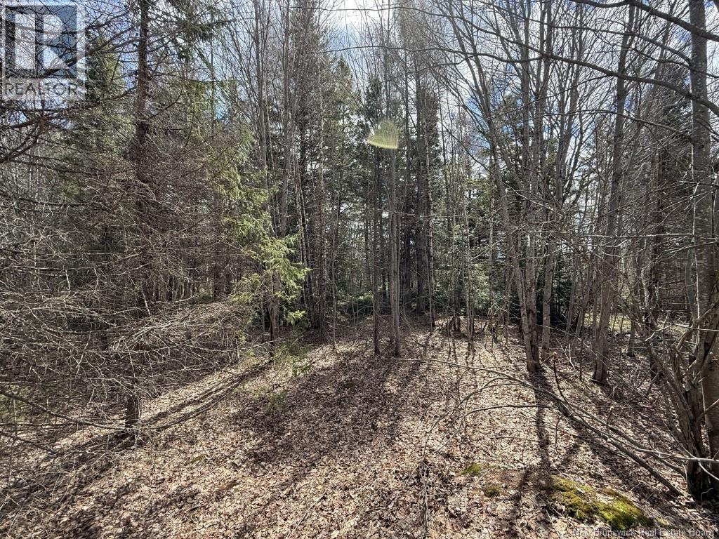 Lot 23-2 Country Shore Lane Property Photo 13