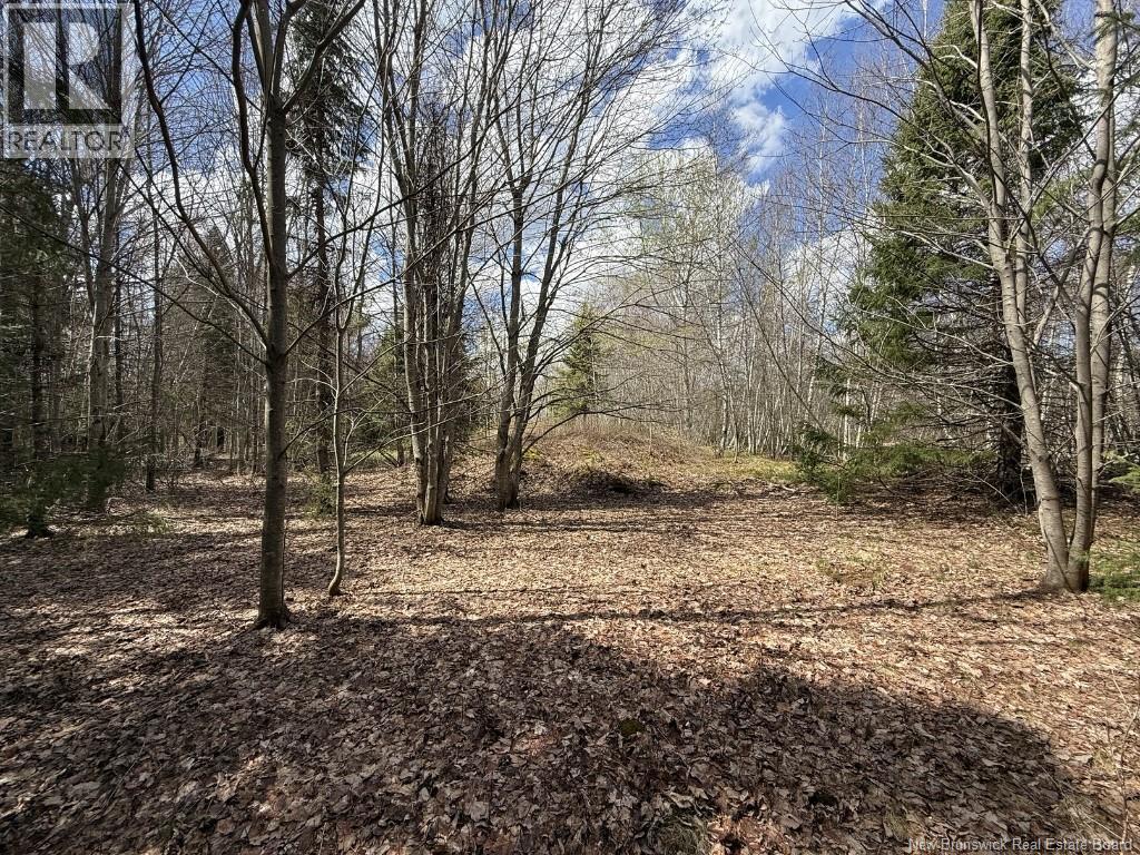 Lot 23-2 Country Shore Lane Property Photo 14