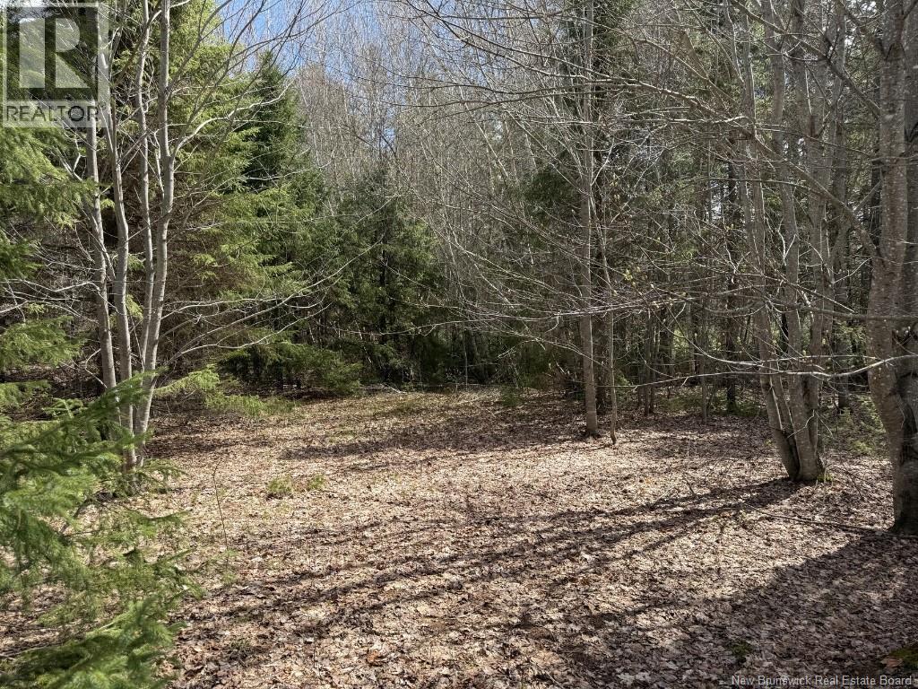 Lot 23-2 Country Shore Lane Property Photo 15