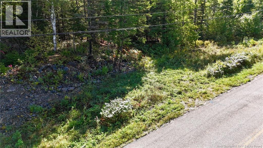 00 Route 745 Property Photo 2