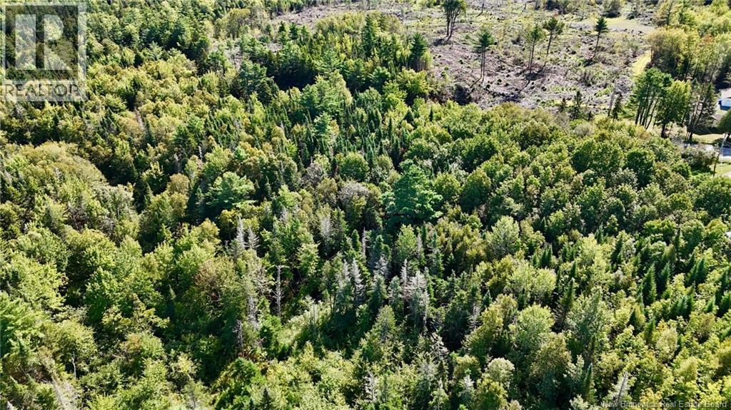 00 Route 745 Property Photo 5