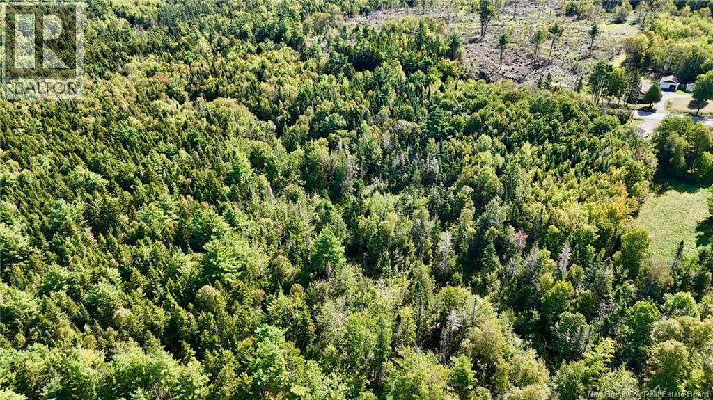 00 Route 745 Property Photo 6