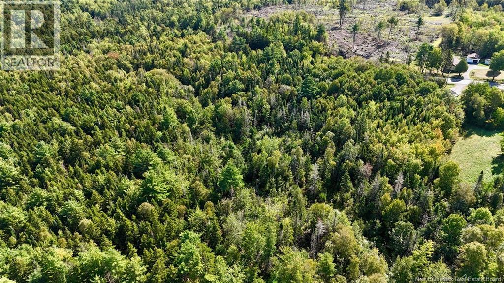00 Route 745 Property Photo 7