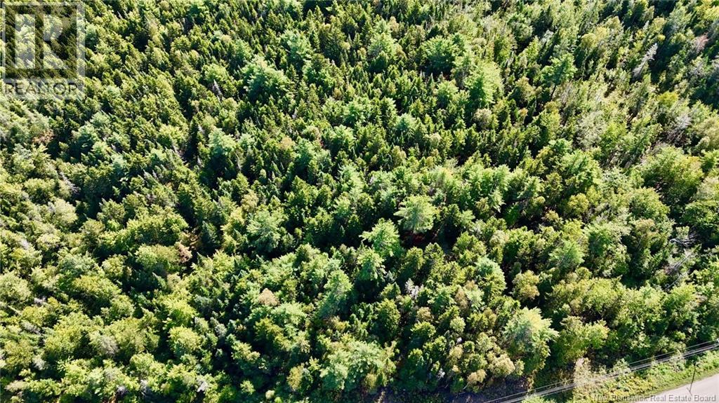 00 Route 745 Property Photo 12