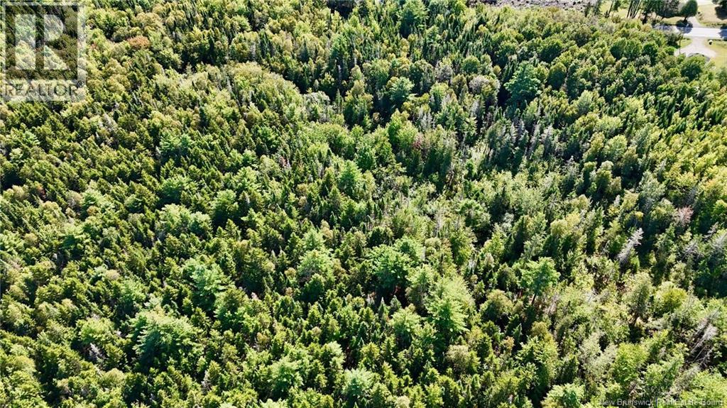00 Route 745 Property Photo 13