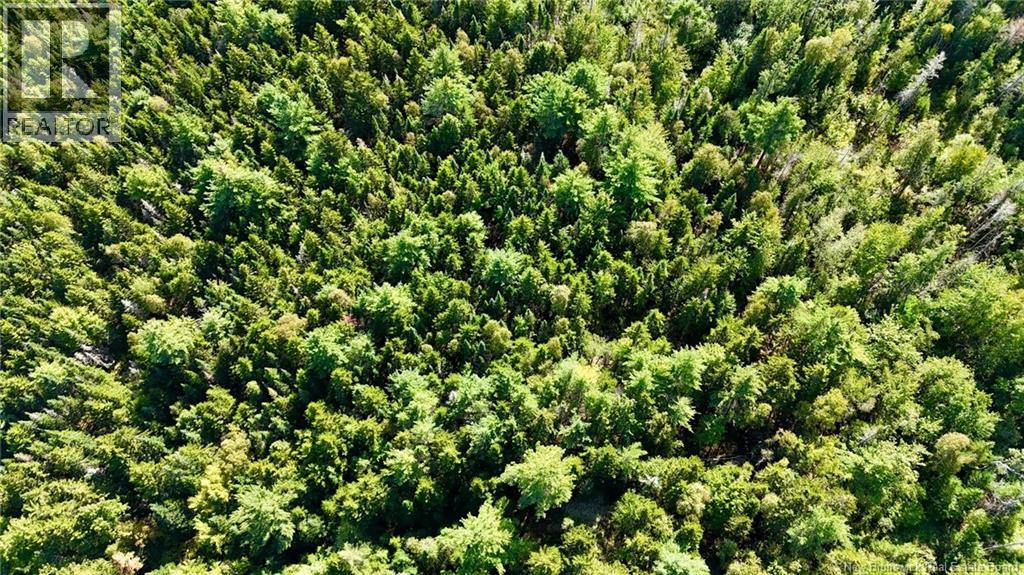 00 Route 745 Property Photo 14