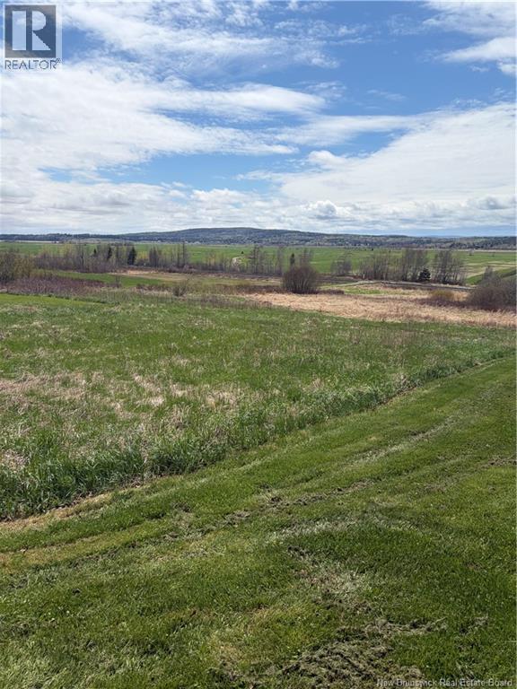 1048 Royal Property Photo 4