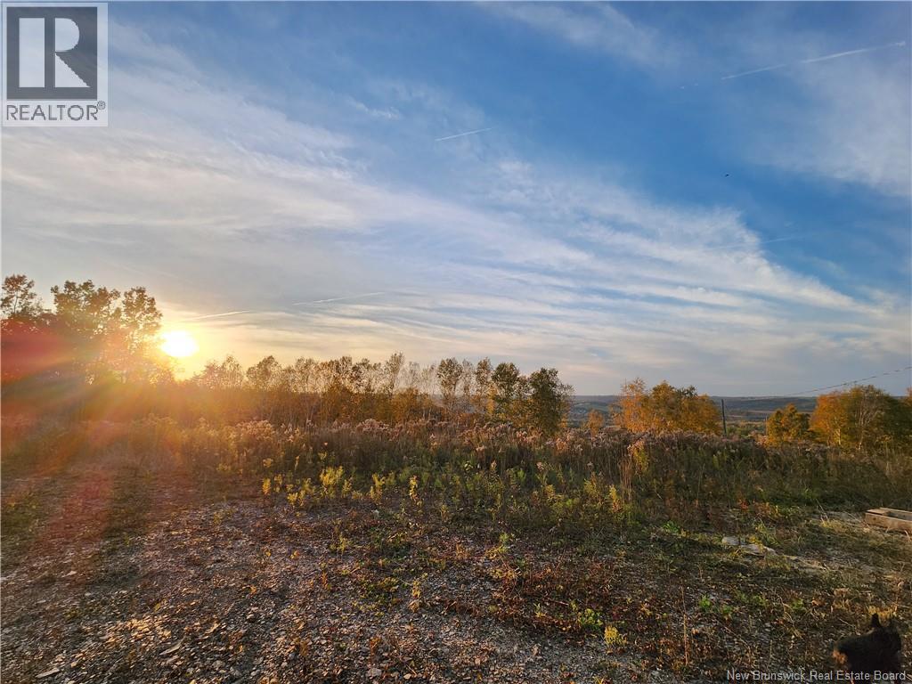 304 Foley Brook Property Photo 5