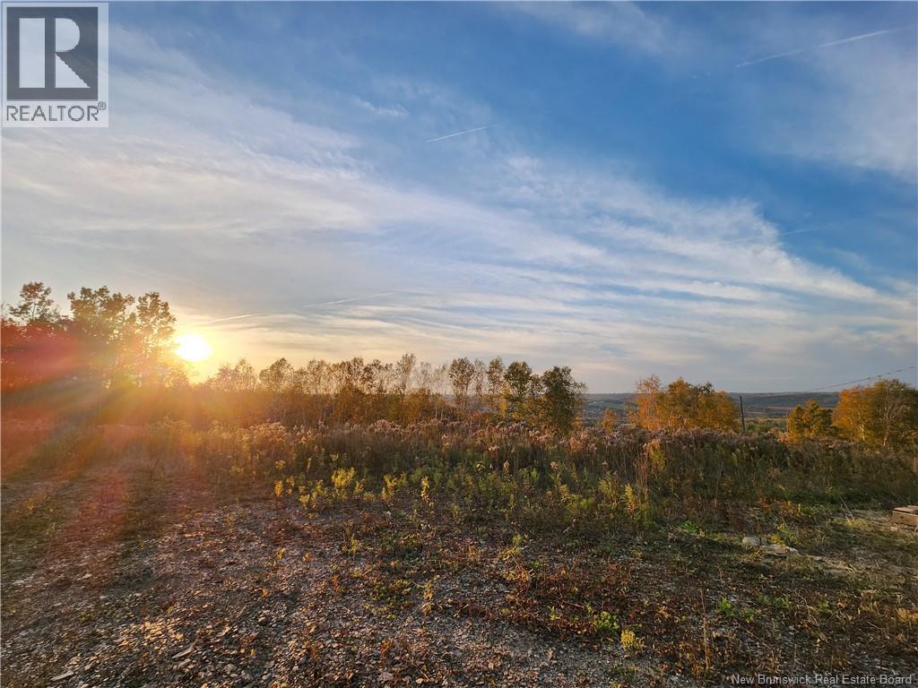 304 Foley Brook Property Photo 6
