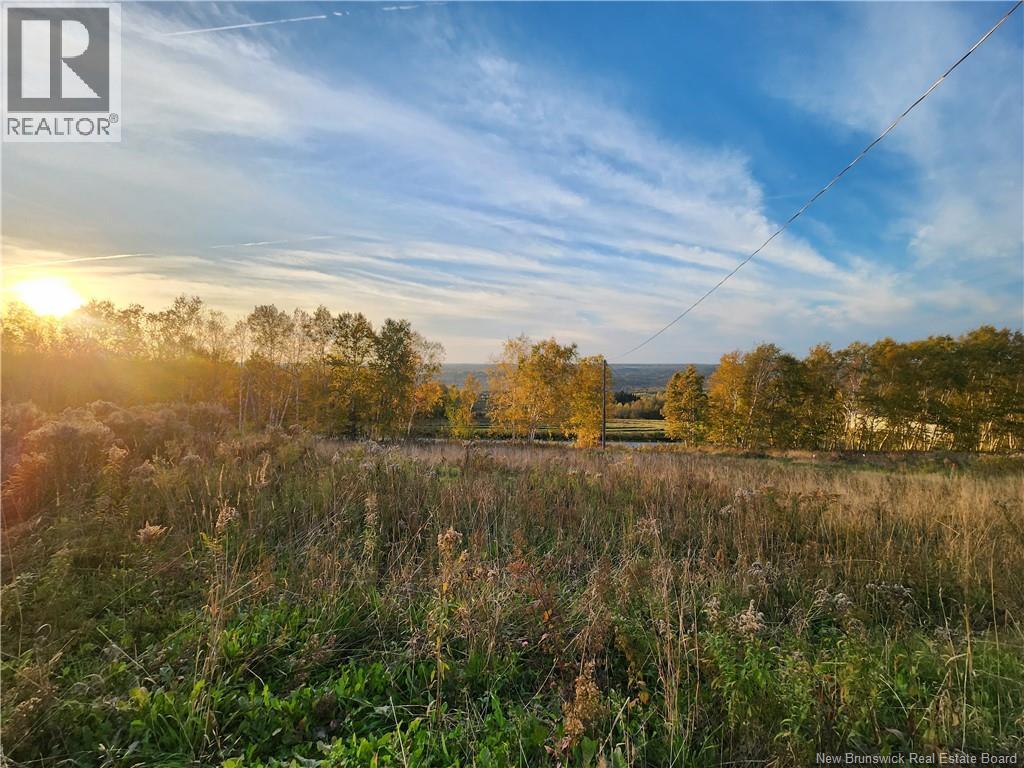 304 Foley Brook Property Photo 7