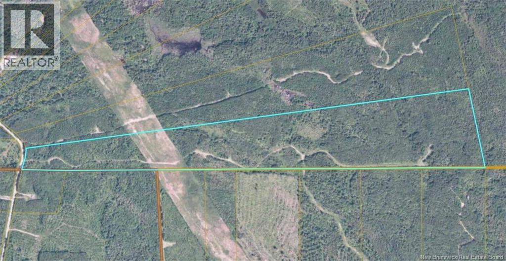 Lot Belledune Road Property Photo 1
