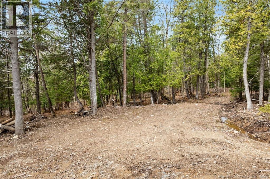 00 Everett Lane Property Photo 17