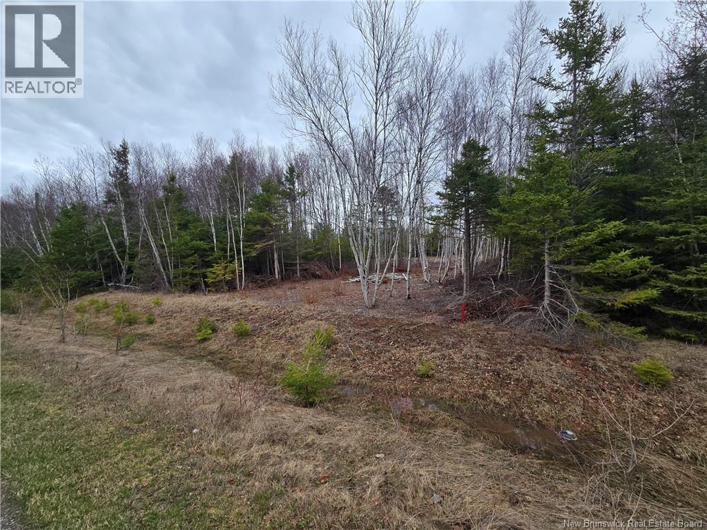 1.5 Acres Chemin Pierre-à-miguel Property Photo 2