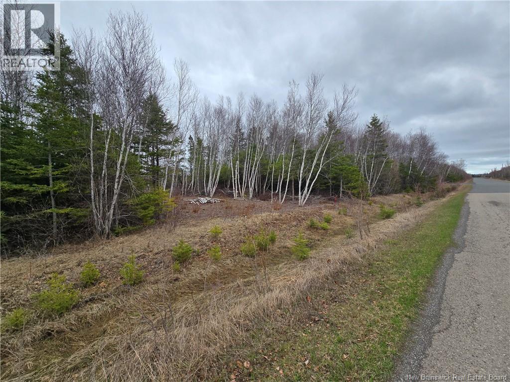 1.5 Acres Chemin Pierre-à-miguel Property Photo 3