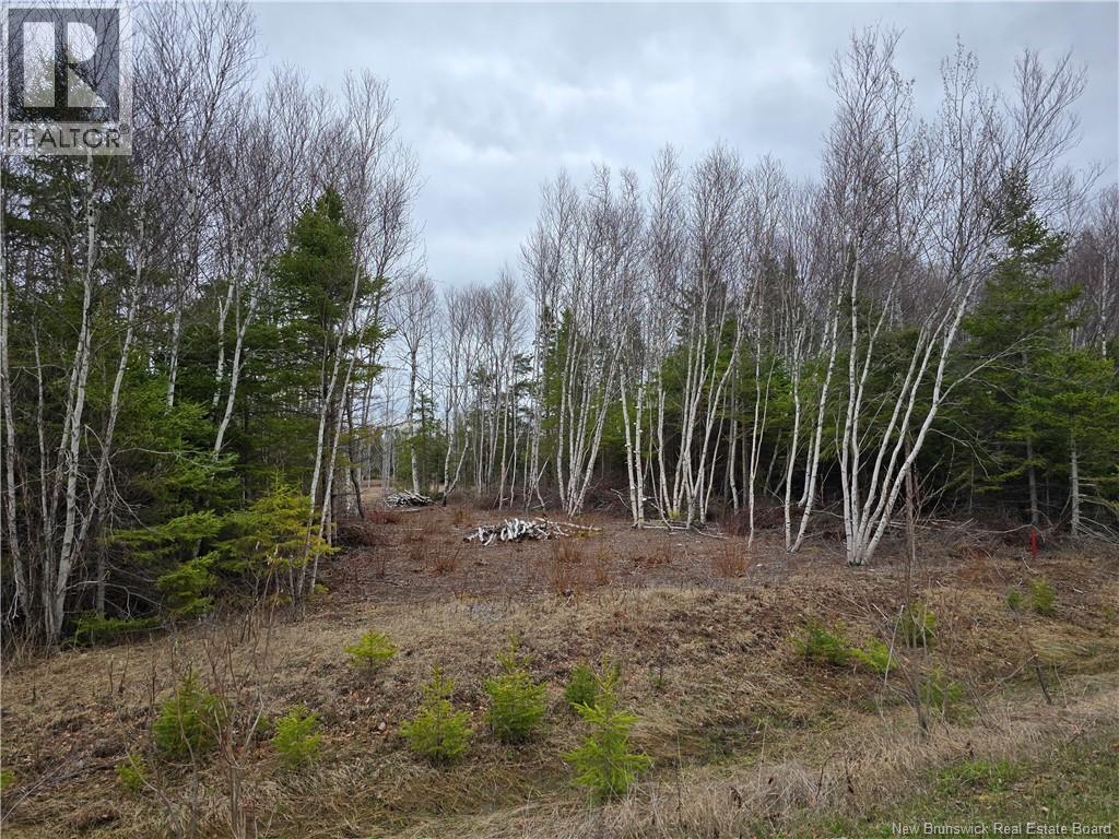 1.5 Acres Chemin Pierre-à-miguel Property Photo 4