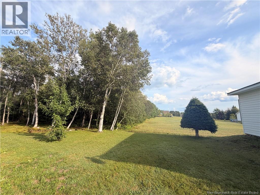 154 Rue Savoie Property Photo 12