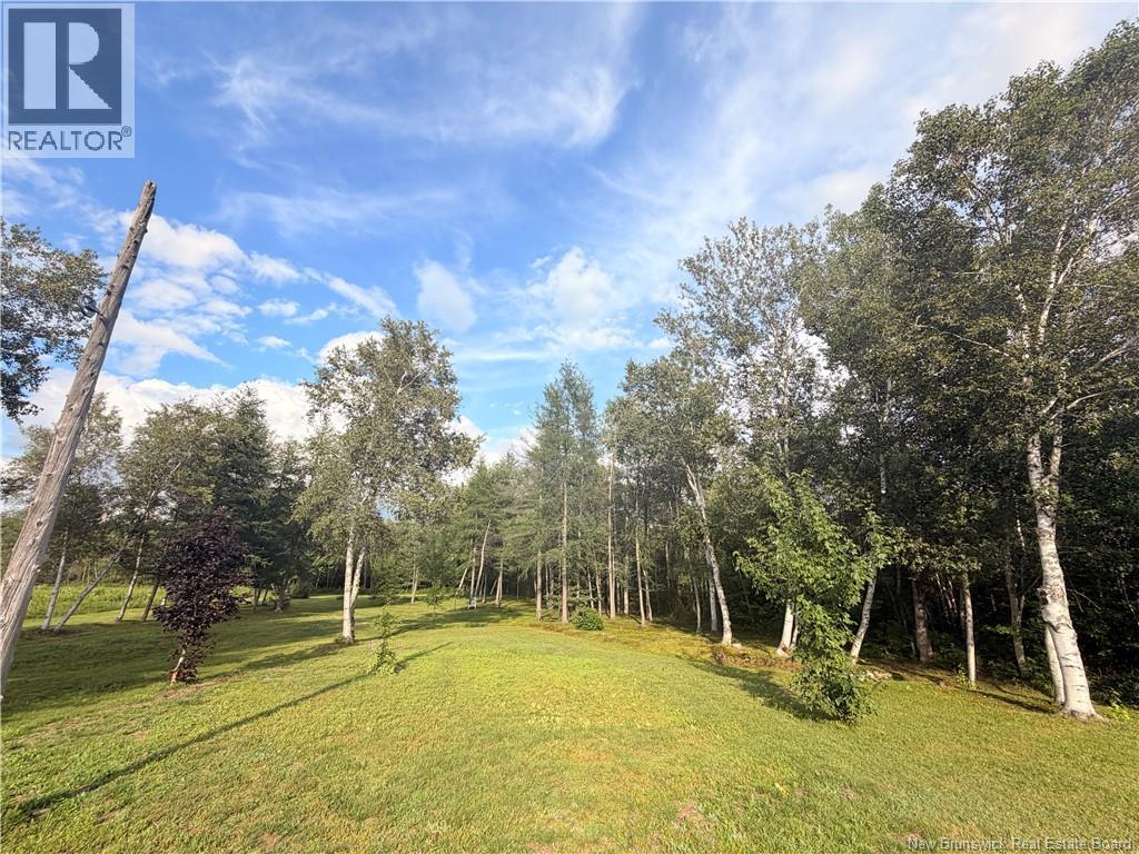 154 Rue Savoie Property Photo 13