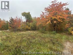 72 Old Harvey Road Property Photo 2