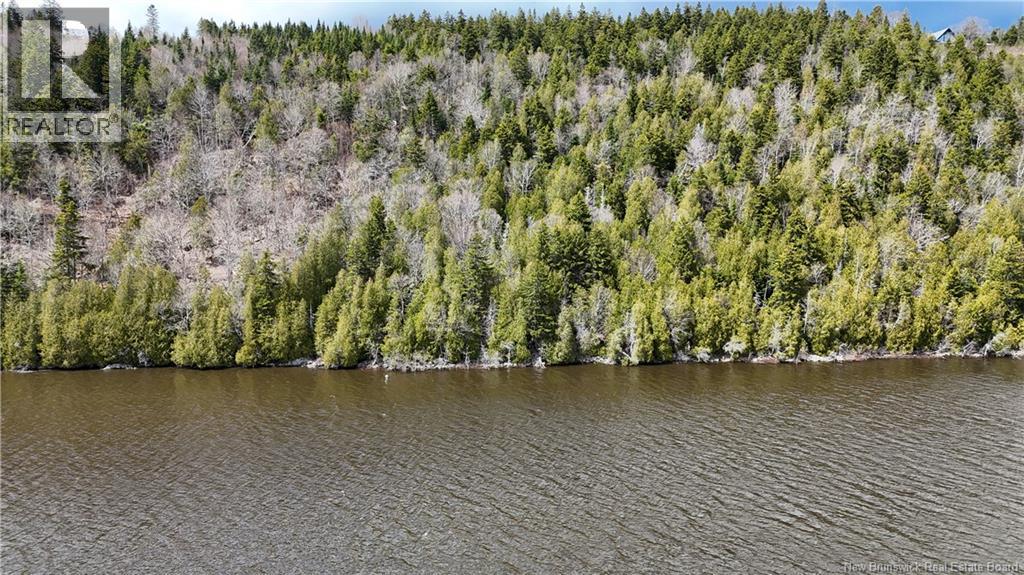 Route 845 Property Photo 2