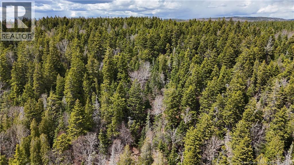 Route 845 Property Photo 5