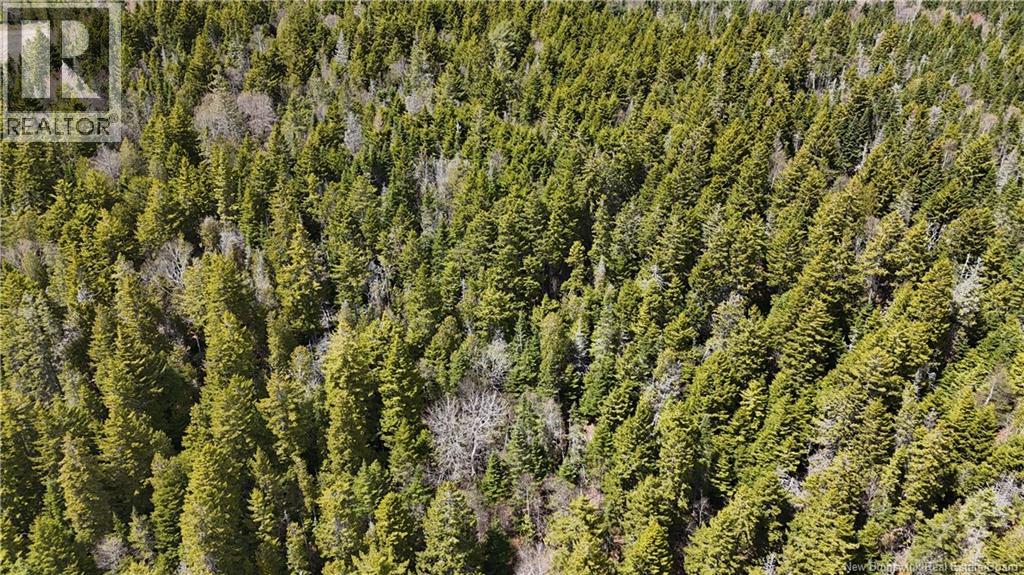 Route 845 Property Photo 6