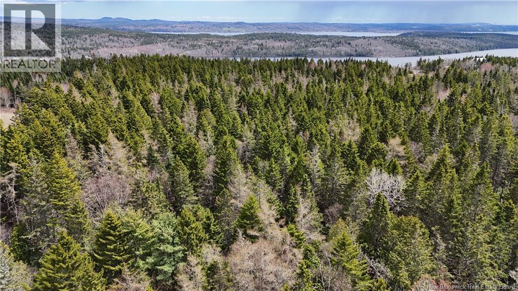 Route 845 Property Photo 9