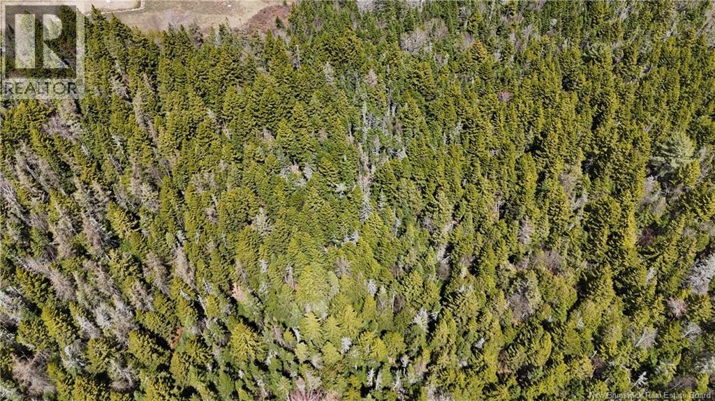 Route 845 Property Photo 13